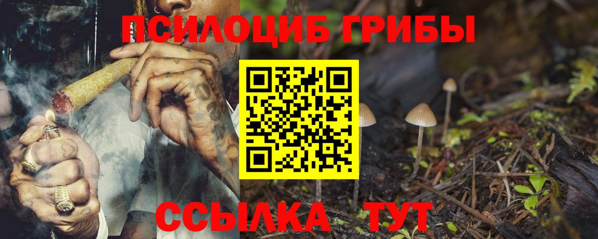 Псилоцибиновые грибы прущие грибы  Вход с VPN  Тара 